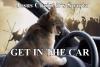 DRIVE SPARTA CAT DRIVE!